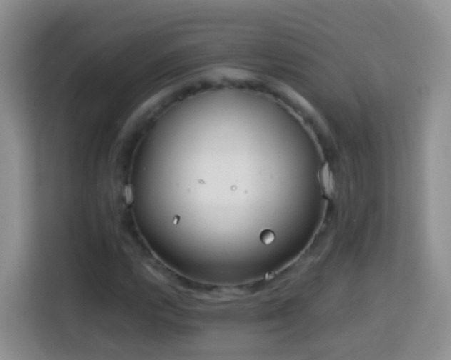 X0000114141112200910081259