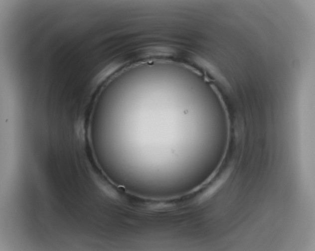 X0000114141113200910081259