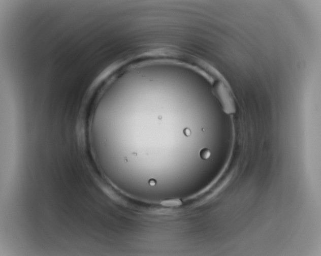 X0000114141114200910081259