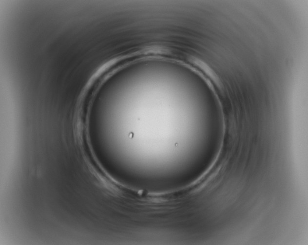 X0000114141115200910081259