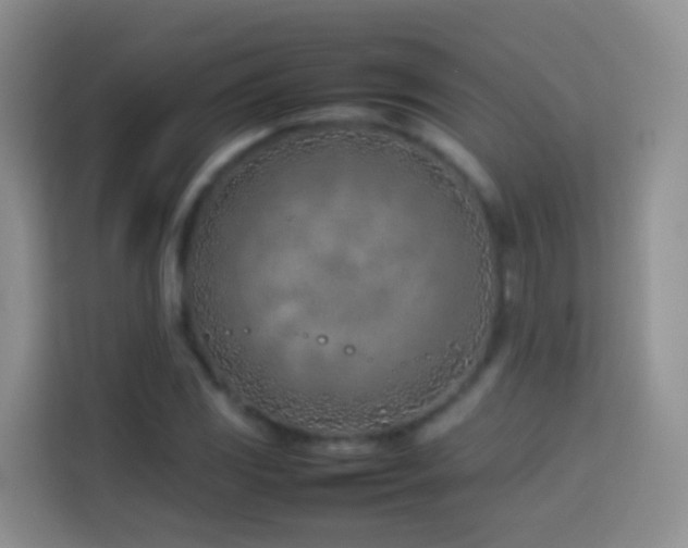 X0000114141117200910081259