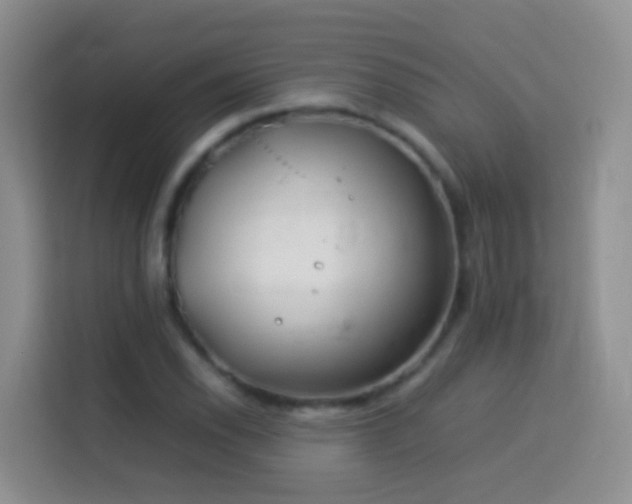 X0000114141118200910081259