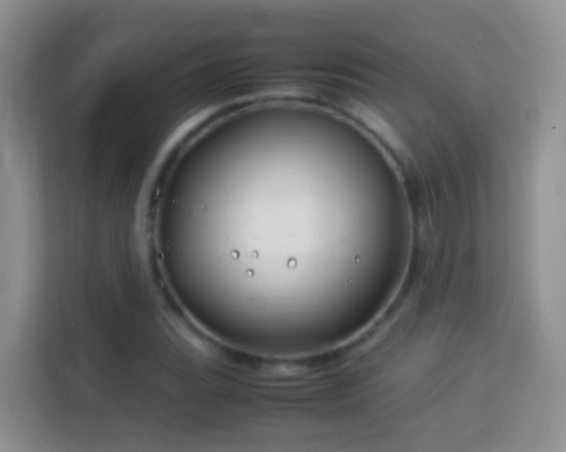 X0000114141119200910081259