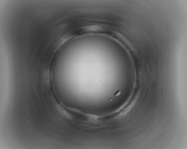 X0000114141121200910081259