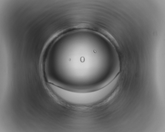 X0000114141122200910081259