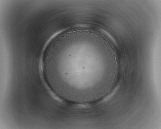 X0000114141125200910081259