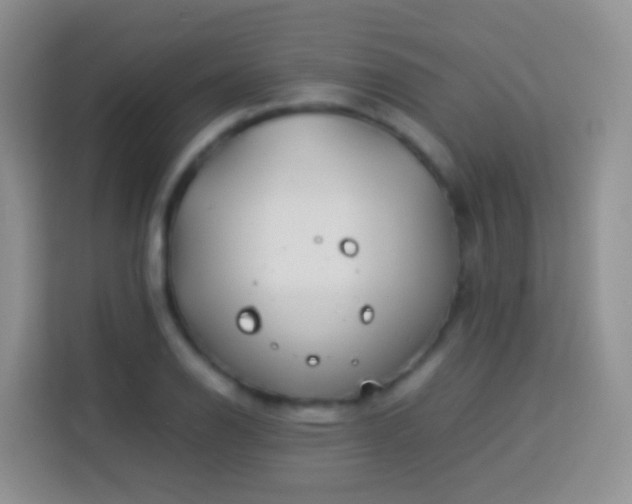 X0000114141126200910081259