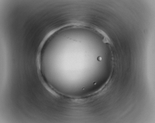 X0000114141128200910081259