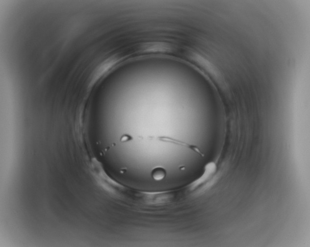 X0000114141129200910081259