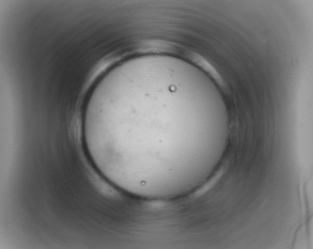 X0000114141130200910081259