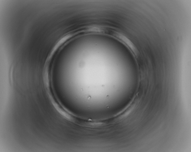 X0000114141131200910081259