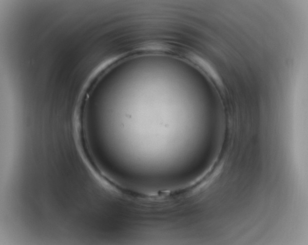 X0000114141133200910081259