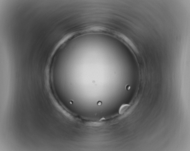 X0000114141134200910081259