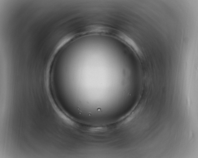 X0000114141135200910081259