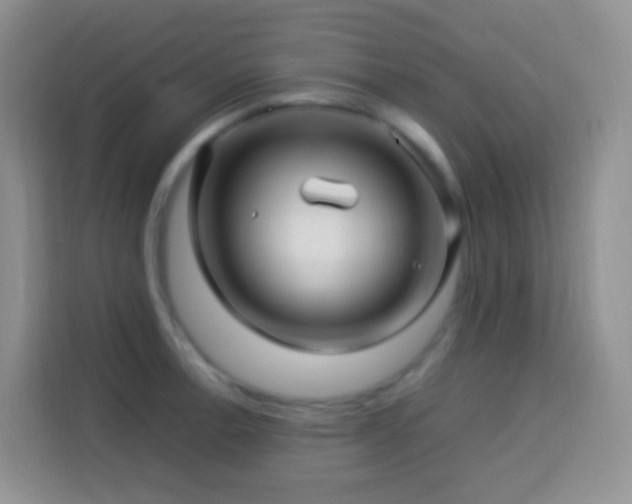 X0000114141138200910081259