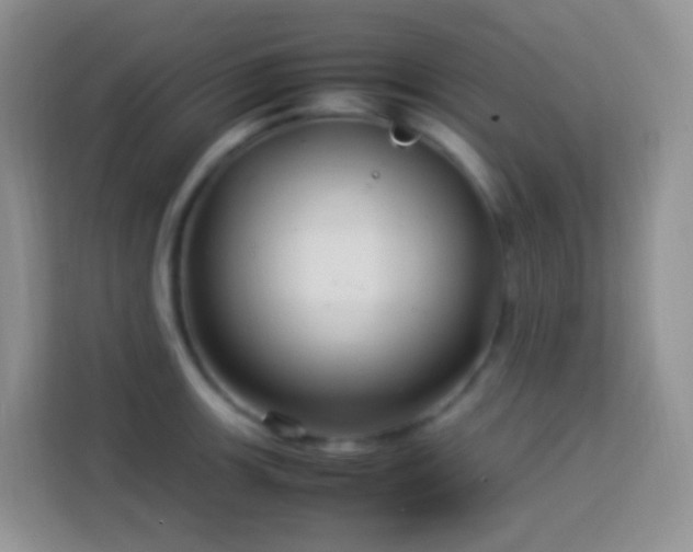 X0000114141139200910081300