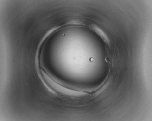 X0000114141141200910081300