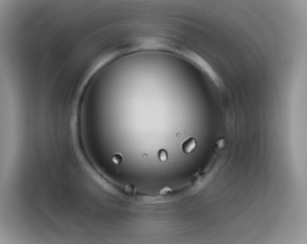 X0000114141142200910081300