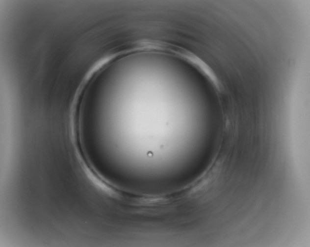 X0000114141143200910081300