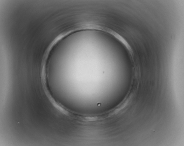 X0000114141144200910081300