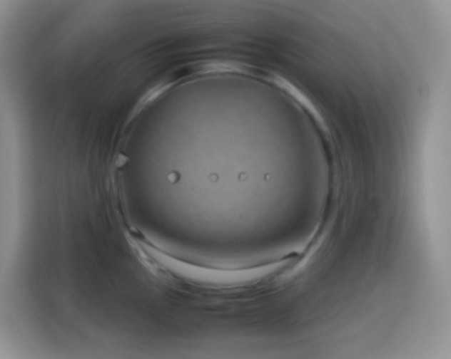 X0000114141145200910081300