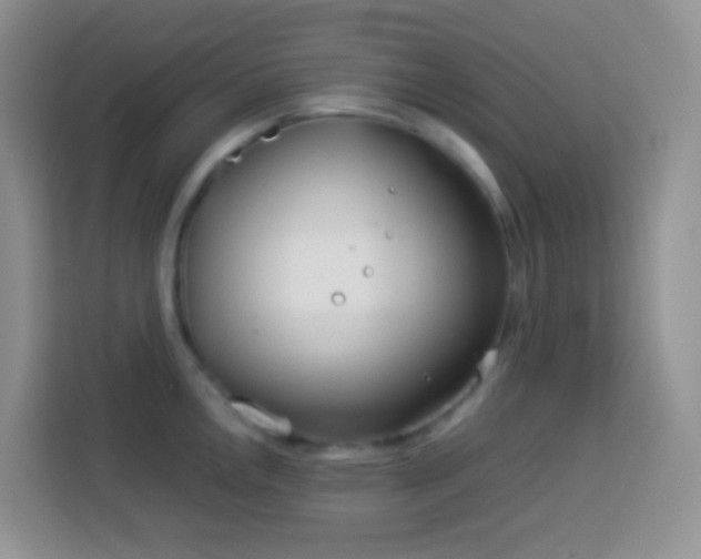 X0000114141146200910081300