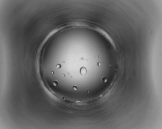 X0000114141147200910081300