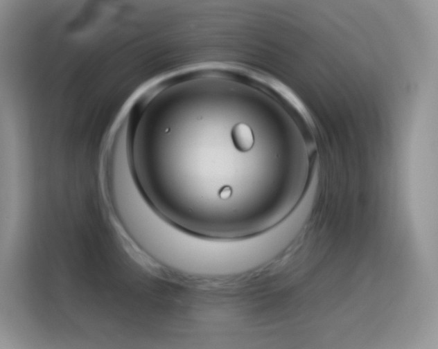 X0000114141148200910081300