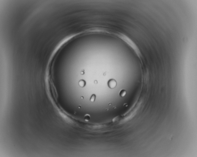 X0000114141149200910081300