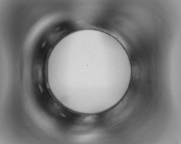 X0000114141150200910081300