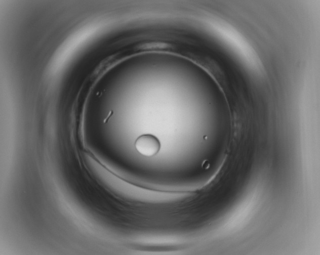 X0000114141151200910081300