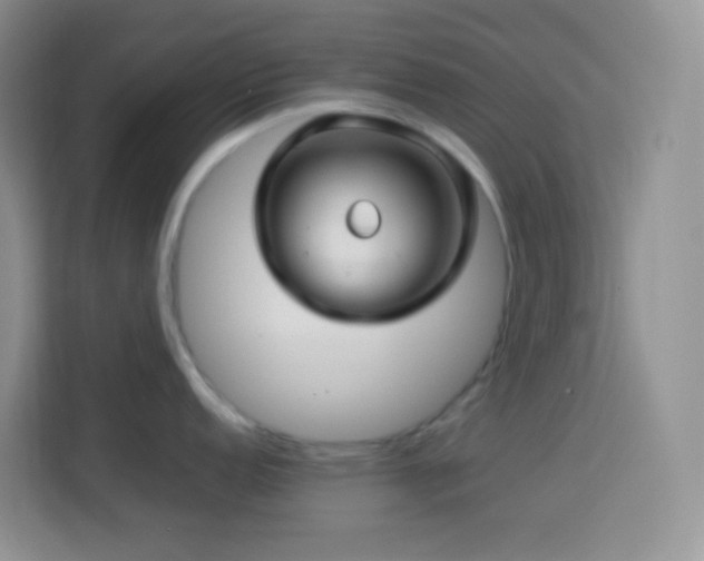 X0000114141152200910081300