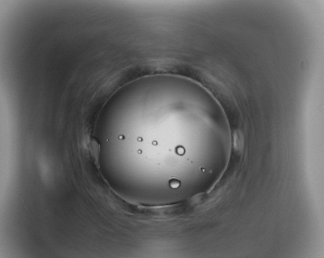 X0000114141155200910081259