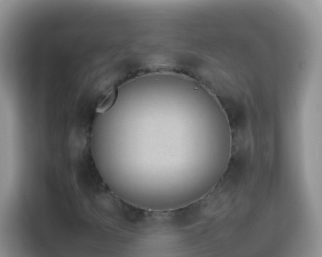 X0000114141157200910081259