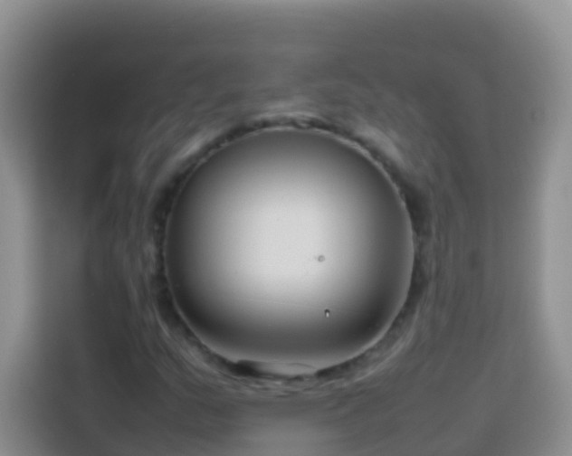 X0000114141159200910081259