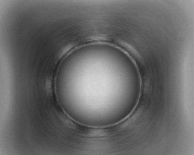 X0000114141162200910081259