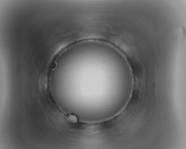 X0000114141165200910081259