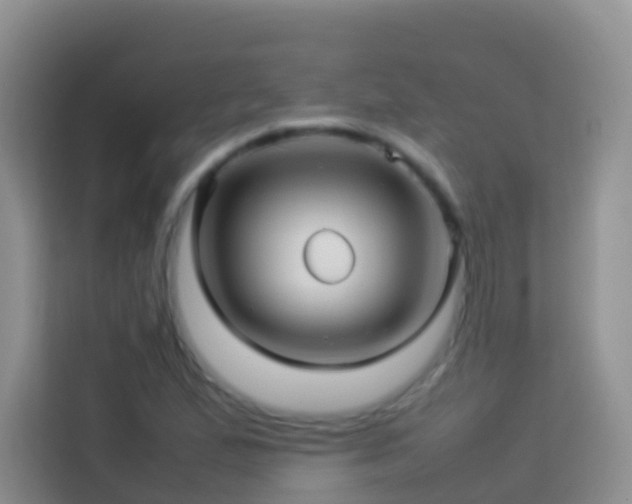 X0000114141167200910081259