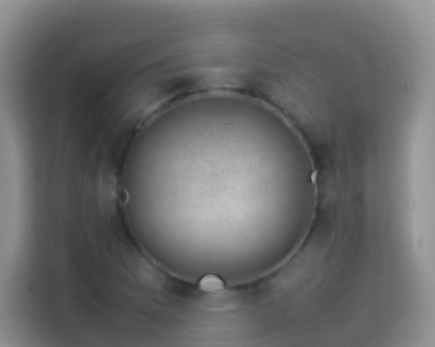 X0000114141169200910081259