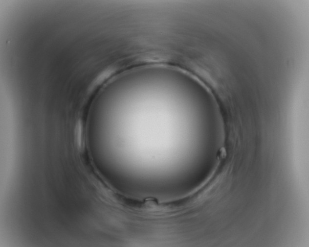 X0000114141171200910081259