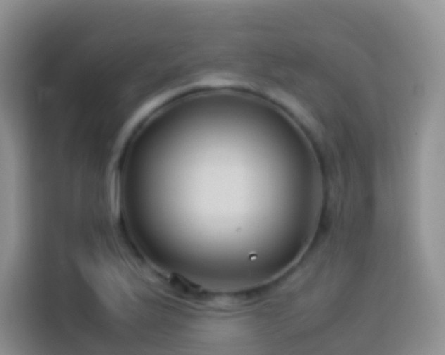 X0000114141175200910081259