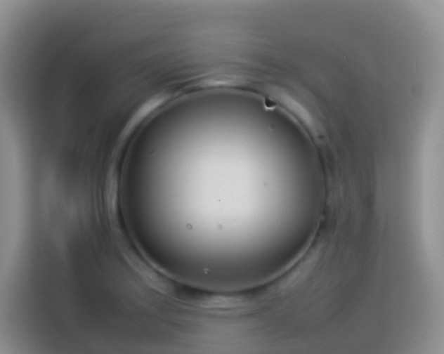 X0000114141179200910081259