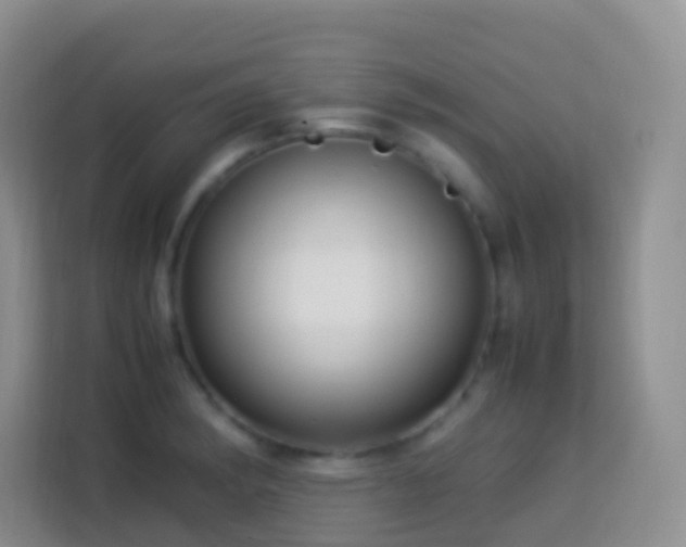 X0000114141182200910081259