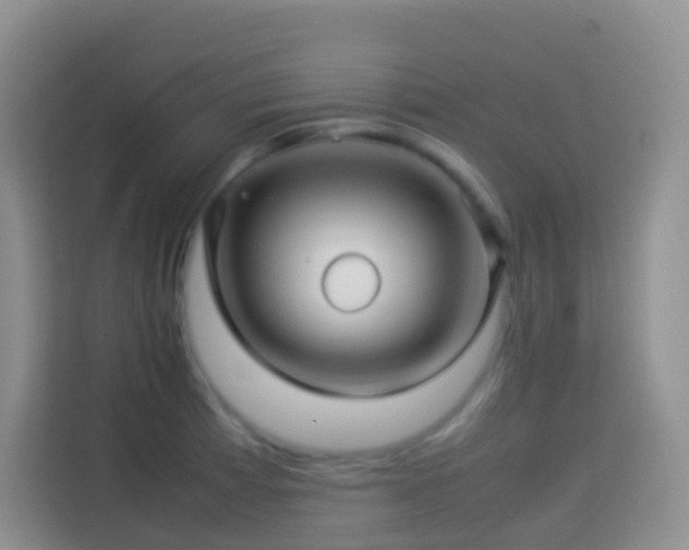 X0000114141185200910081259