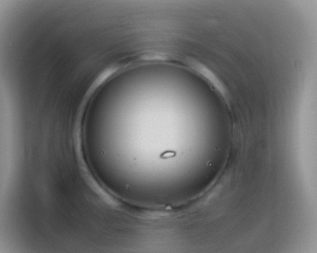 X0000114141187200910081259