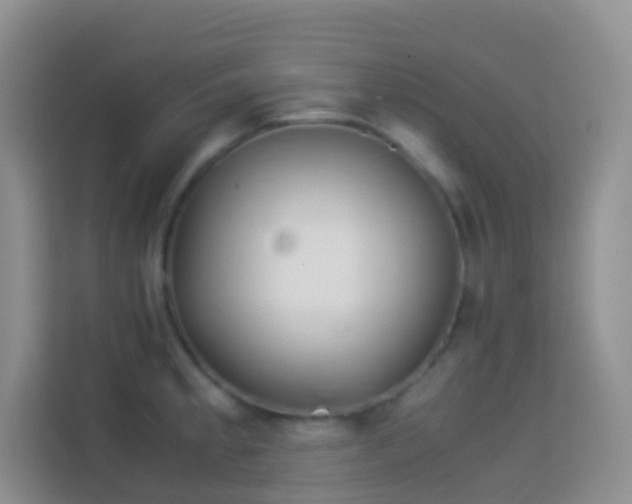 X0000114141189200910081259