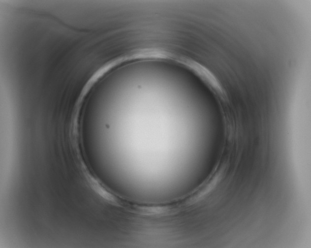 X0000114141192200910081259