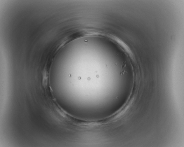 X0000114141193200910081259