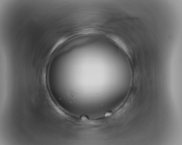 X0000114141197200910081258