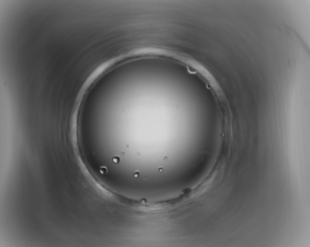 X0000114141199200910081258